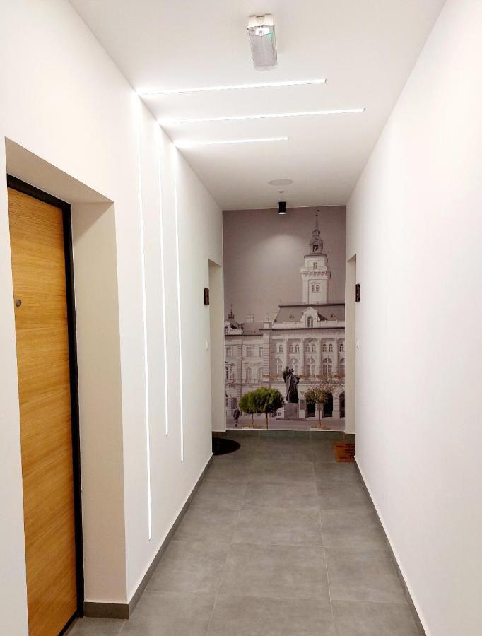 דירות נובי סאד Kej Danube Lux Free Garage מראה חיצוני תמונה